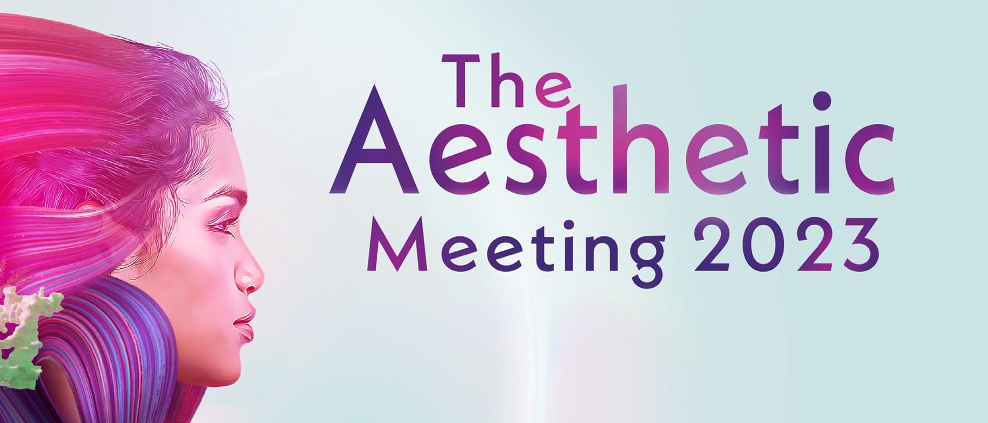 The Aesthetic Meeting 2023 2