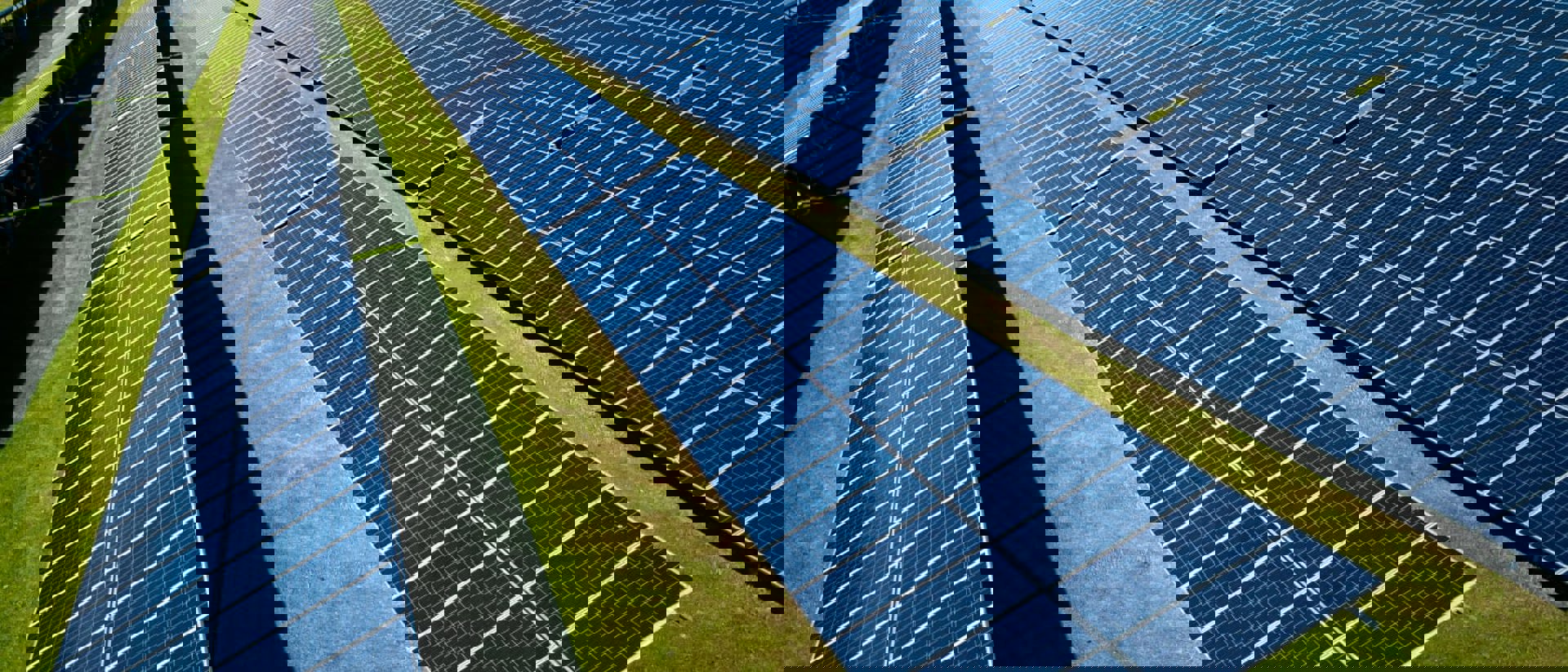 field of solar panels